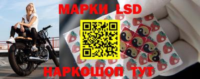 шишки Коммунар