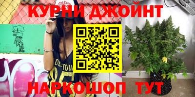 шишки Коммунар