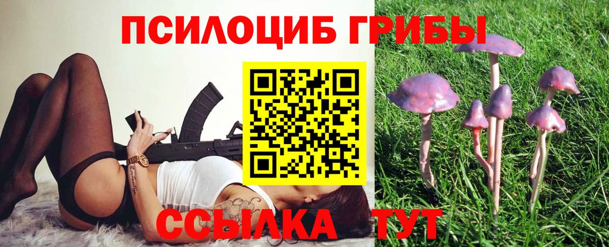Галлюциногенные грибы прущие грибы Котельники
